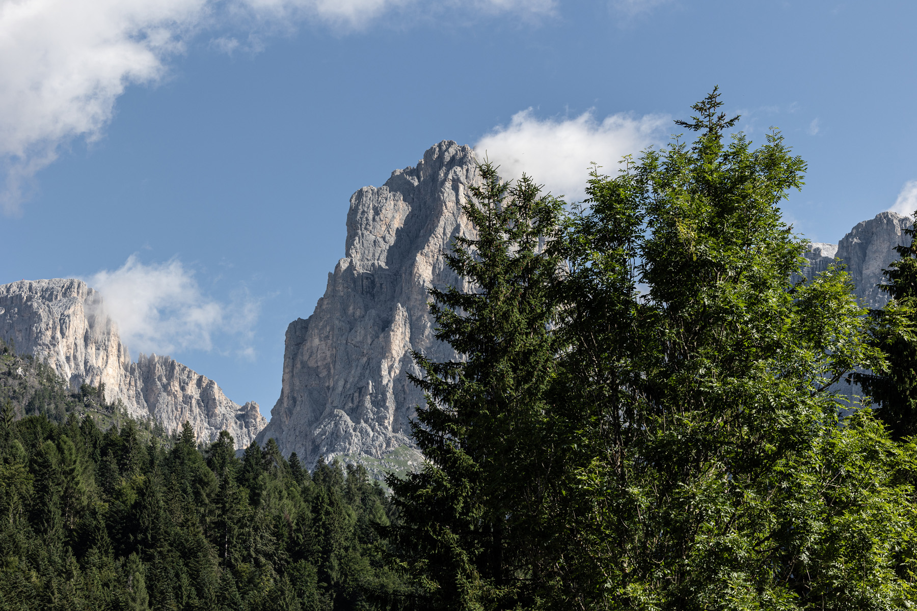 Camping Castelpietra — photo 3