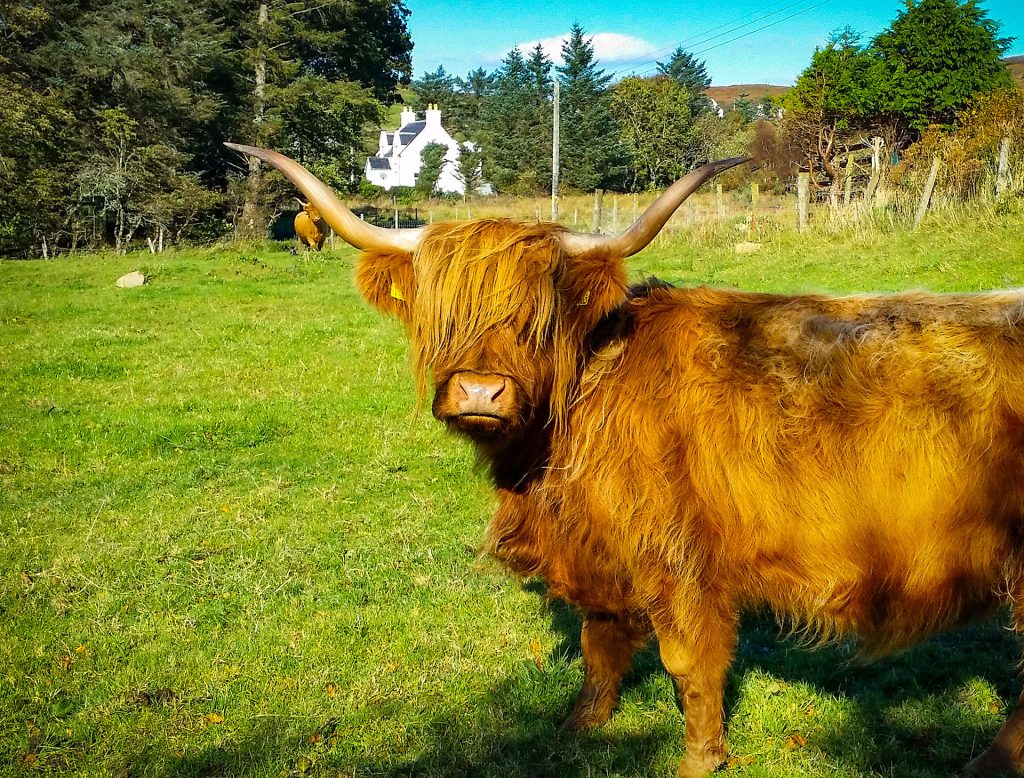 Kinloch Campsite Skye — photo 3